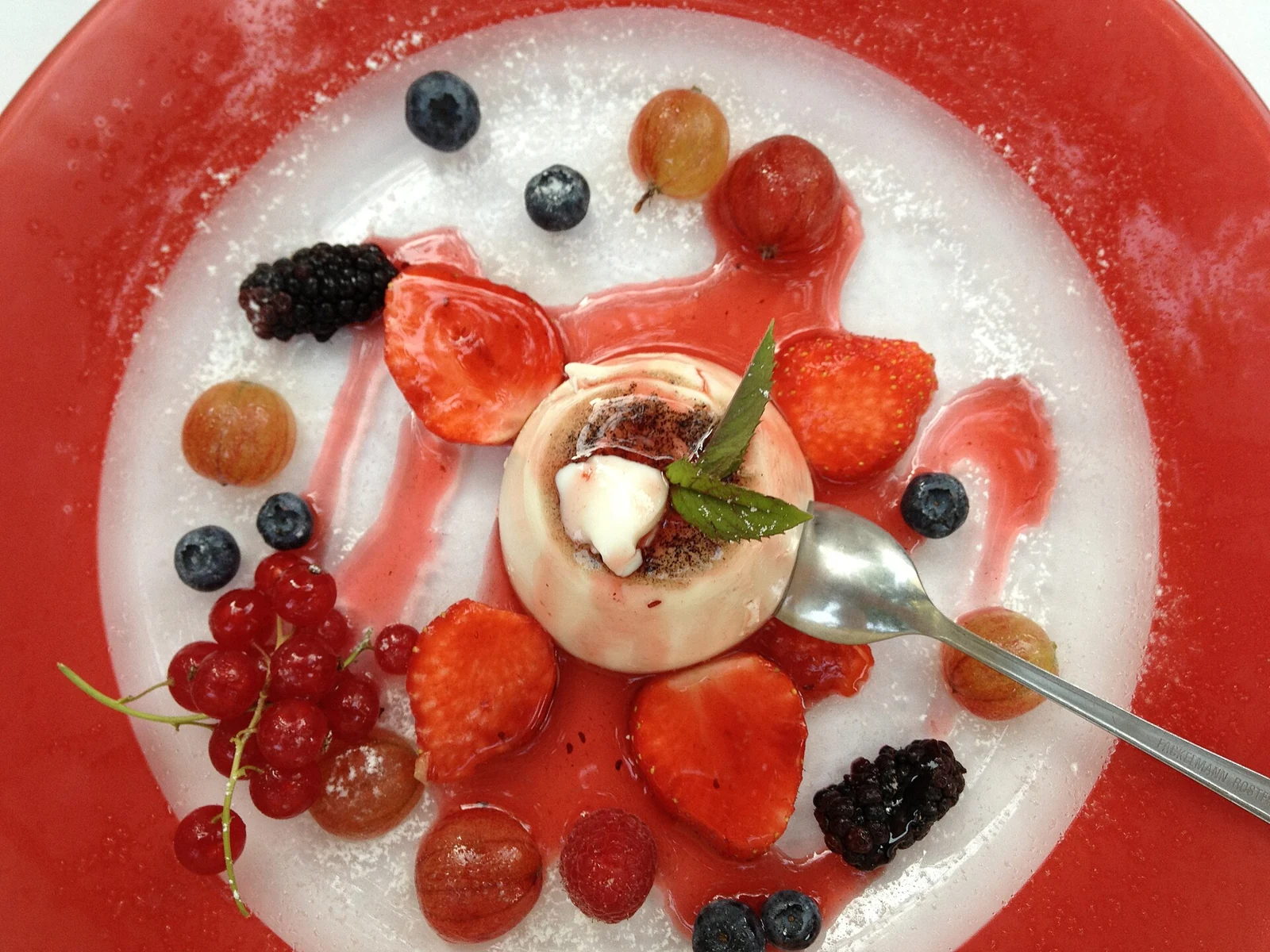 A round, unmolded panna cotta with a small cream garnish, cocoa dusting, and green leaves, surrounded by berry sauce, strawberries, blueberries, blackberries, and red currants on a white plate with a red rim; a spoon rests beside it.